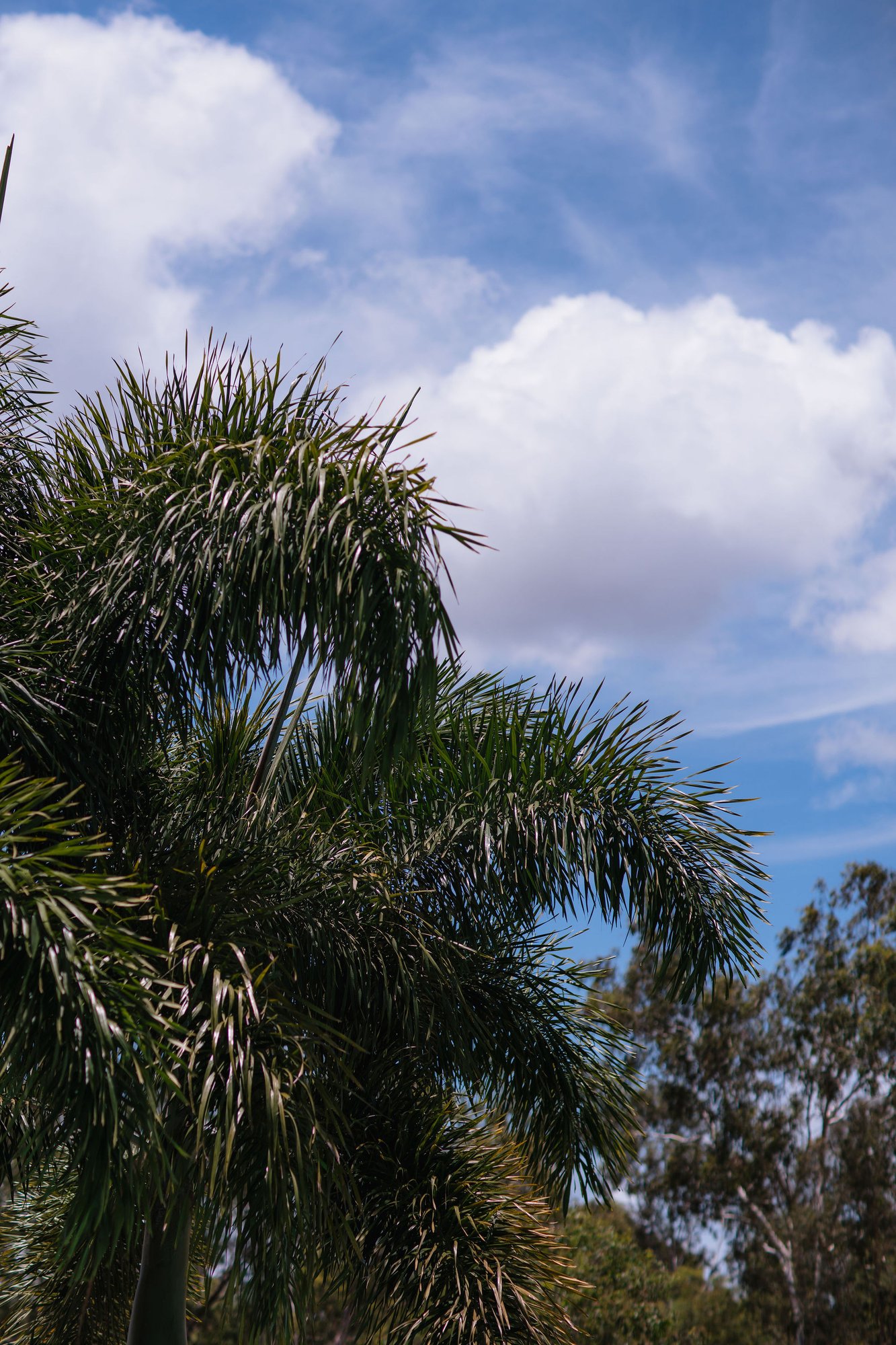 LJHookerGladstoneBigShoot-125